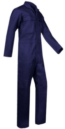 Afbeelding - 20251029-berkeind-JPG